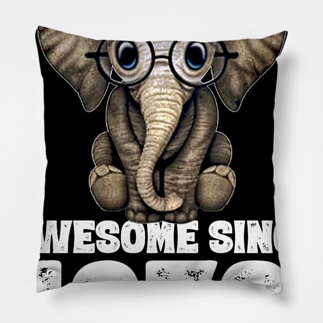 Awesome since 1970 50 Years Old Bday Gift 50th Birthday Pillow by DoorTees