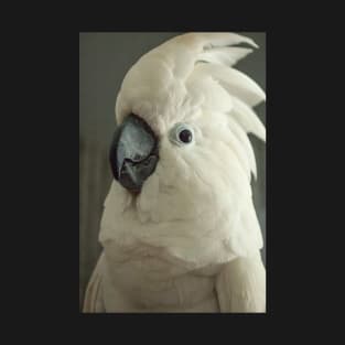 Umbrella cockatoo parrot bird portrait T-Shirt