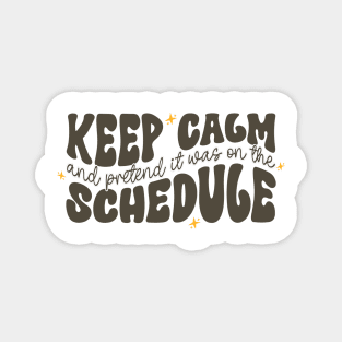 Keep Calm and Pretend It's on the Schedule shirt, Vetmed shirt, Work Life Magnet