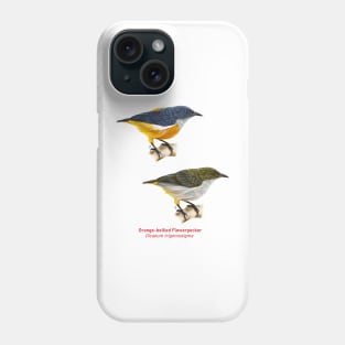 Orange-bellied Flowerpecker | Dicaeum trigonostigma ⚥ Phone Case