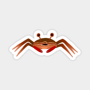 Crabby the Crab Magnet