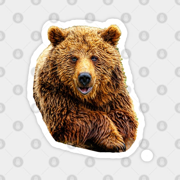 Cute Brown Bear Magnet by dalyndigaital2@gmail.com