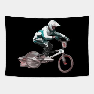 bmx Tapestry