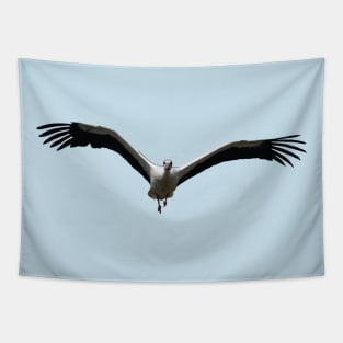 White Stork (Ciconia ciconia) Bird In Flight Vector Tapestry