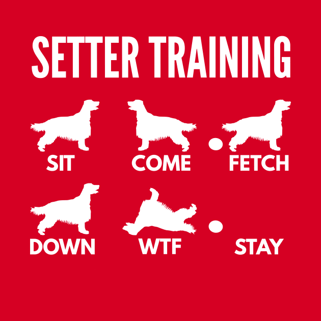 Irish Setter Training Setter Dog Tricks by DoggyStyles