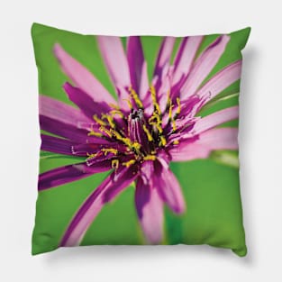 Salsify flowerhead Pillow