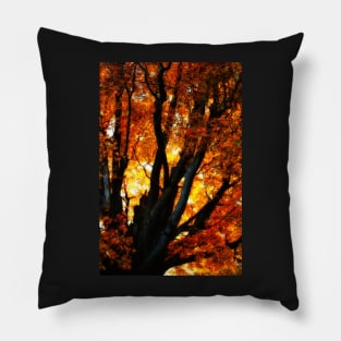 Autumn Elegy Pillow