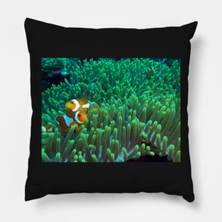 Apparel, home, tech and travel design Pillow