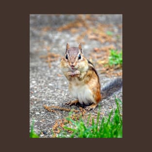 Adorable chipmunk with a smile T-Shirt