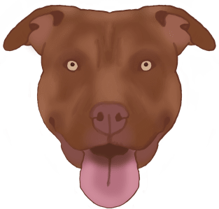 American Pit Bull Terrier Magnet