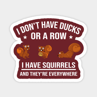 Funny Gift: I Don't Have Ducks in a Row I Have Squirrels and They're Everywhere Magnet