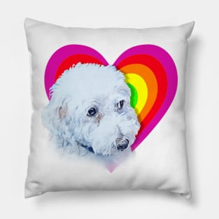 Boris!! The bichon! Pillow