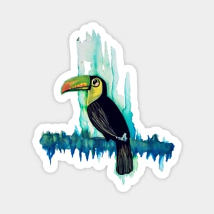 Keel Billed Toucan Magnet