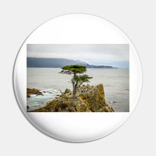 Lone Cypress Pin