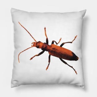 Orange Beetle Wharf Borer Pillow