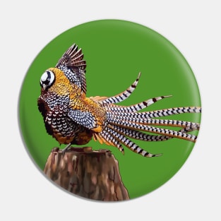 Reeve's Pheasant Pin