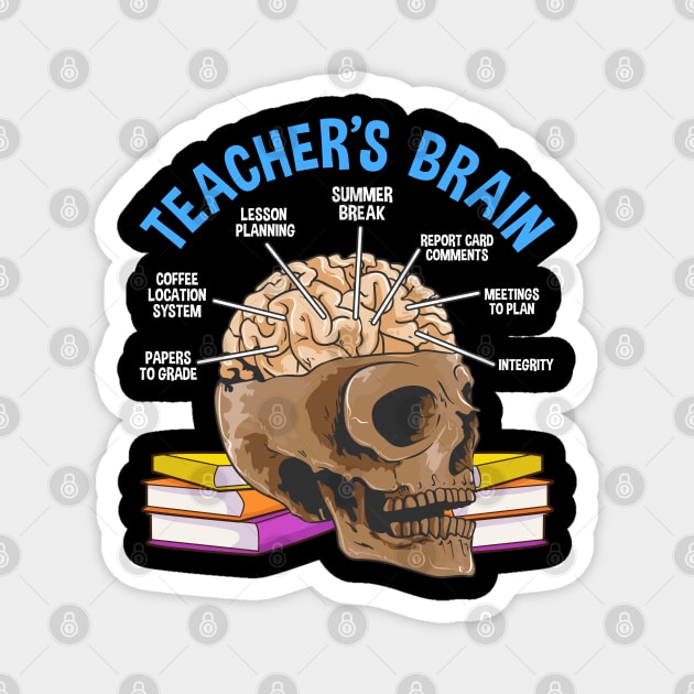 Teacher’s Brain Anatomy because Teachers love brains Funny Humor Gift Magnet by creative