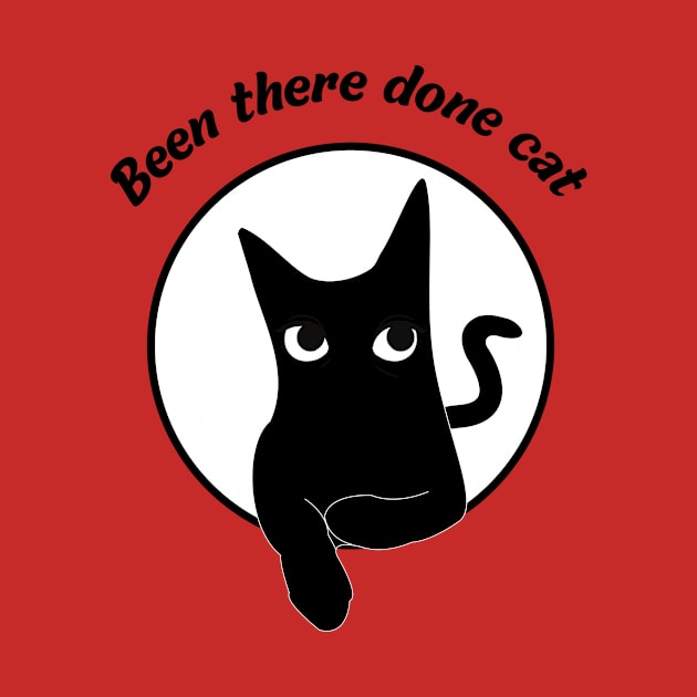 Been there done cat funny t-shirt for cat lovers by Solum Shirts