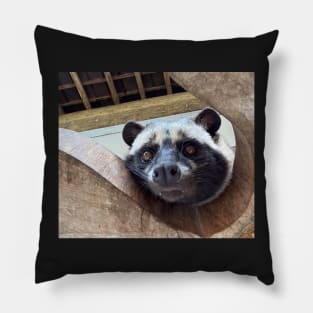 Raccoon Pillow