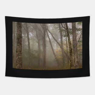 Misty Spruce Knob Forest Tapestry
