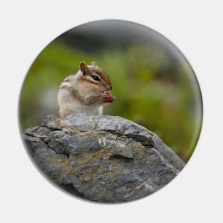 Chipmunk Pin