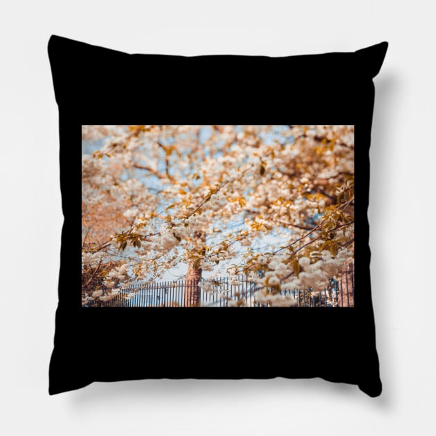 Ethereal Pillow by Debra Cox 