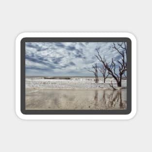 Edisto Beach South Carolina Magnet