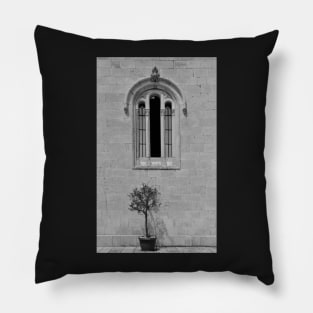 Olive Tree and Church Window Pillow