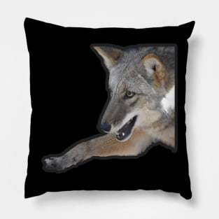 Coyote Pillow