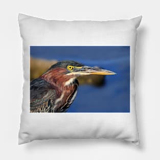 Green Heron Pillow