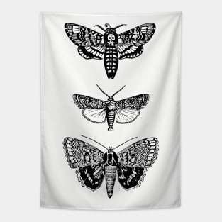 Moths Tapestry