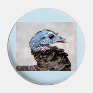 Neighborhood Wild Turkey Portrait Pin