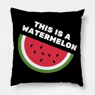 THIS IS A WATERMELON Pillow