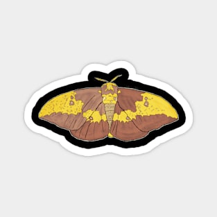 Fun Empire Moth Art Graphic Tee Magnet