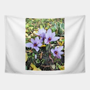 Beautiful saffron flowers Tapestry