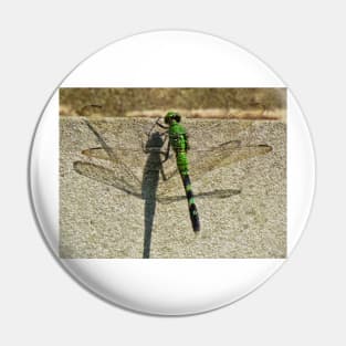 Dragonfly Shadow Pin