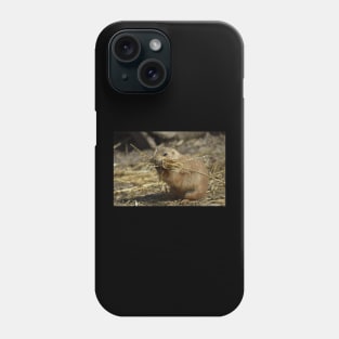 Prairie Dog Phone Case