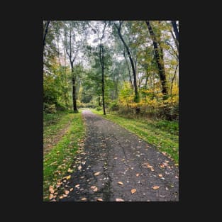 Late September Morning New England Nature Walk - autumn leaves T-Shirt