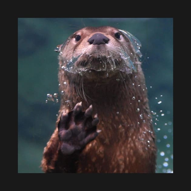 North American River Otter by Sharonzoolady