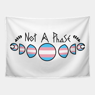 Not A Phase- Transgender Tapestry