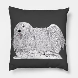 Walking Mop Dog Pillow