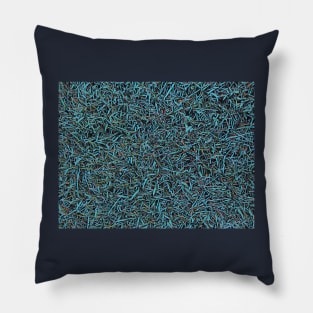 Blue Grass Pillow