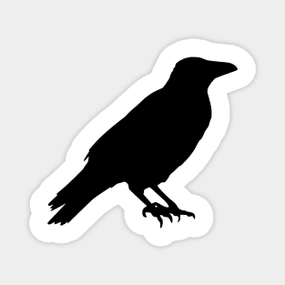 Raven bird black Magnet
