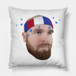 Crow Sweat Emote Pillow