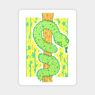 Green African Bush Viper on a Tree in Acrylic Magnet