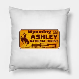 Ashley National Forest License Plate Wyoming Rusted Pillow