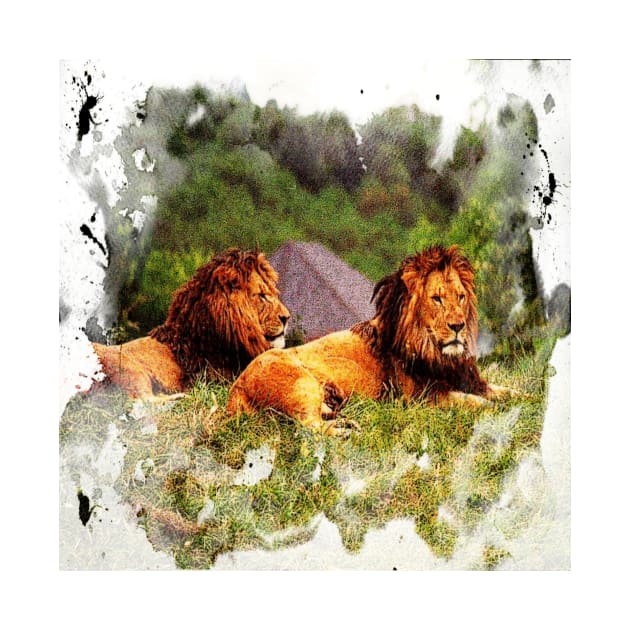 LIONS by JOHN COVERT ILLUSTRATIONS