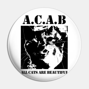 All Cats Are Beautiful Pin