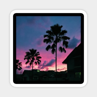 Summer Palm Trees Pink Skies Magnet