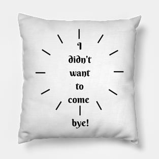 I didn´t want to come, bye! Pillow